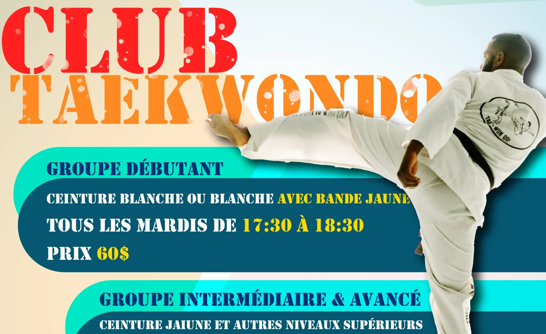 Club de Taekwondo pour Enfants | Children's Taekwondo Club 2024 ( upgrade )